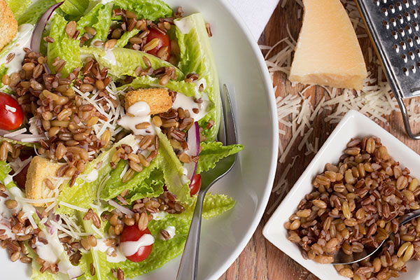 HERITAGE RICE AND GRAIN CAESAR SALAD – Liten Spire