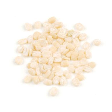 Lentils: Ivory White